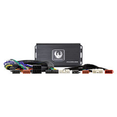 Phoenix Gold Forstærker kit til Daewoo,SsangYong 2005-(262 SAZXMPSY1)