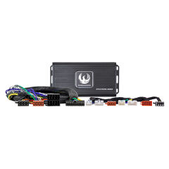 Phoenix Gold Forstærker kit til Toyota 1995-2018(262 SAZXMPTOY1)