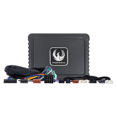 Phoenix Gold Toyota DSP Power-Up Kit 2018-(262 ZDAPTOY2)