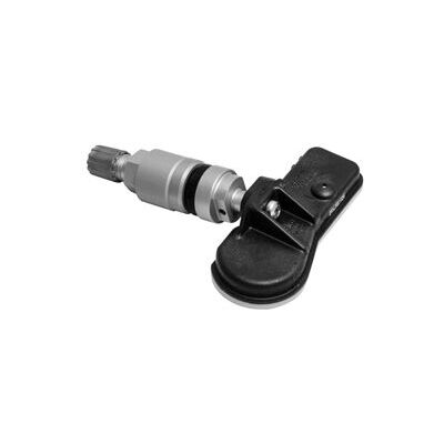 (TPMS)