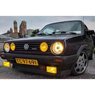 Gul lygtefolie(Lygtefolie gul)