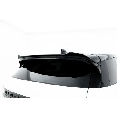 (LR-RR-EV-2-DYNAMIC-CAP1G)