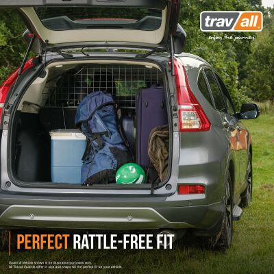 (TDG1619)