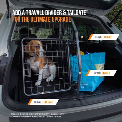 (TDG1656)