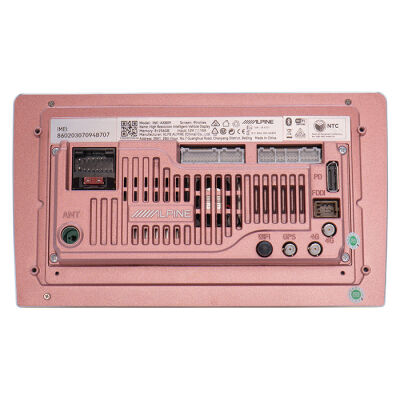 (245 INEAX809)