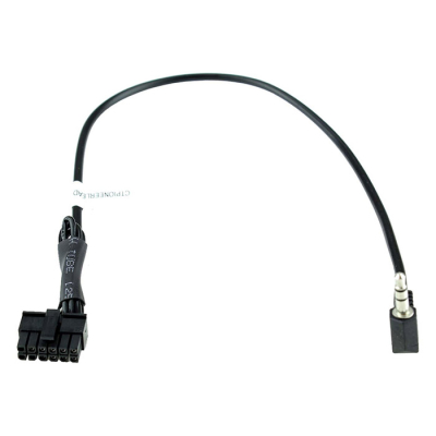 (260 CTPIONEERLEAD2)