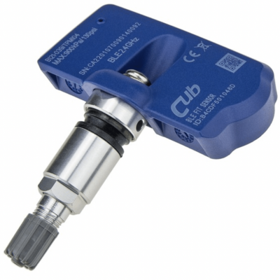 (TPMS-Tesla)